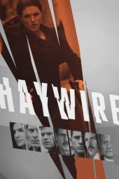 Haywire (2011)