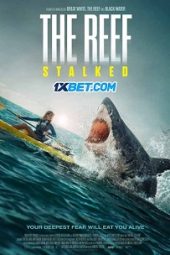 The Reef: Stalked (2022) Dub