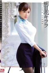 SNIS-576 (English subbed) Career Woman Tomorrow Flower Killala That Was Slipped To Busty Cabin Attendant Libido Eliminate Meat Urinal That Has Been Targeted