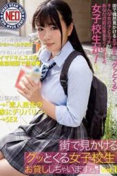 FNEO-005 “Captivating schoolgirl seen in the city” I will lend her to you. Vol.1